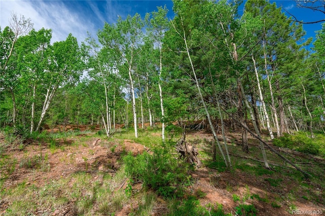27 Granite Ct, Cripple Creek, CO 80813 - photo 20