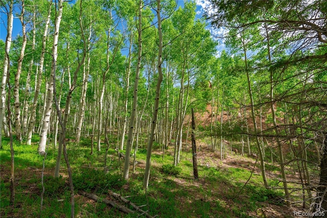 27 Granite Ct, Cripple Creek, CO 80813 - photo 24