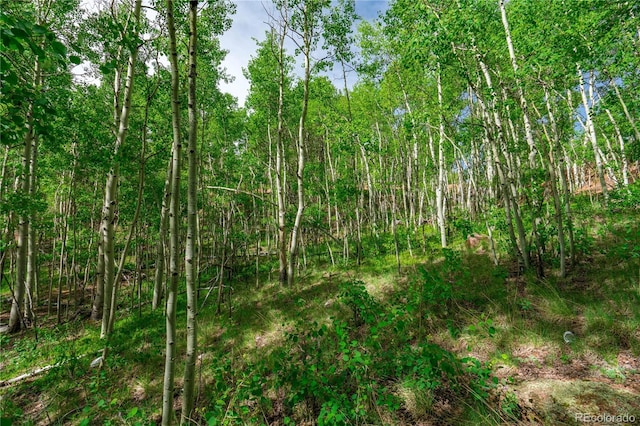 27 Granite Ct, Cripple Creek, CO 80813 - photo 28