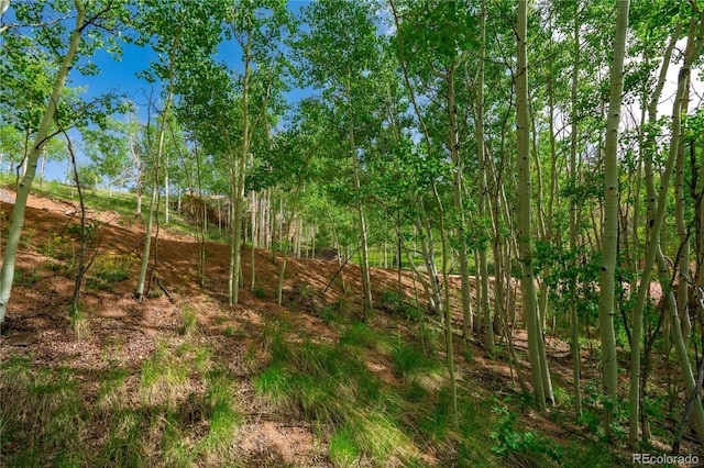 27 Granite Ct, Cripple Creek, CO 80813 - photo 29