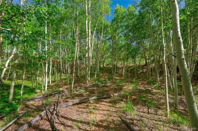 27 Granite Ct, Cripple Creek, CO 80813 - photo 30