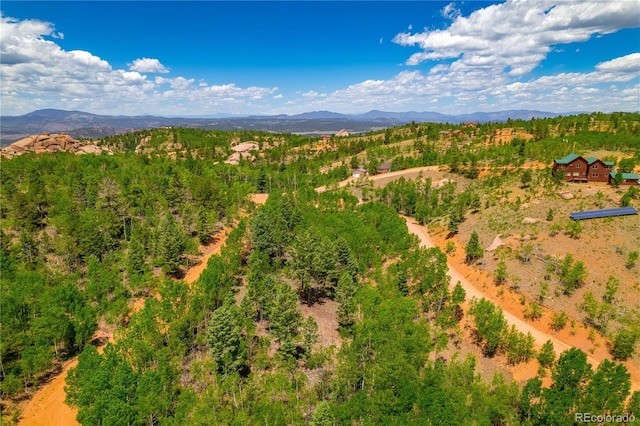 27 Granite Ct, Cripple Creek, CO 80813 - photo 35