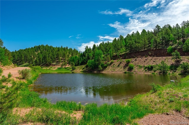 27 Granite Ct, Cripple Creek, CO 80813 - photo 43
