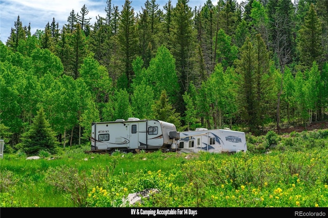 27 Granite Ct, Cripple Creek, CO 80813 - photo 45