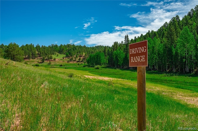 27 Granite Ct, Cripple Creek, CO 80813 - photo 46