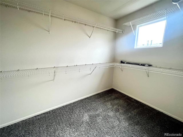 walk in closet featuring carpet floors