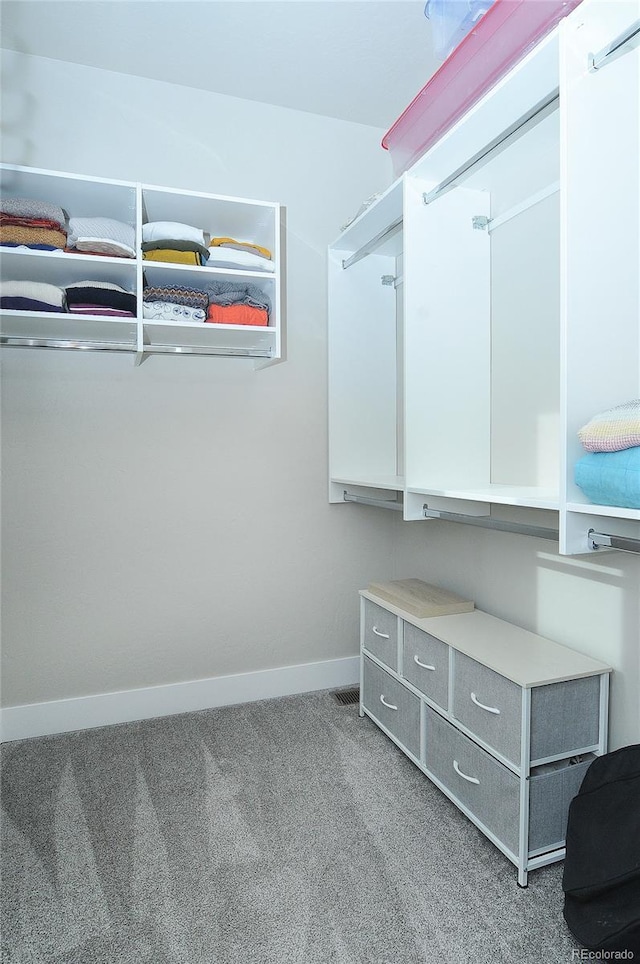 spacious closet featuring carpet floors