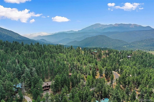 1003 Kings Crown Rd, Woodland Park, CO 80863 - photo 3