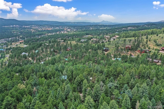 1003 Kings Crown Rd, Woodland Park, CO 80863 - photo 37