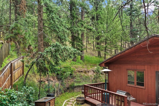 1003 Kings Crown Rd, Woodland Park, CO 80863 - photo 39