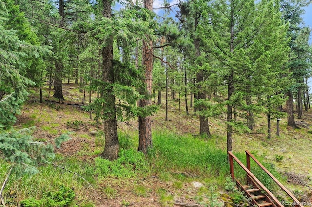 1003 Kings Crown Rd, Woodland Park, CO 80863 - photo 41