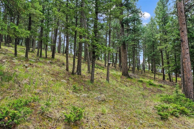1003 Kings Crown Rd, Woodland Park, CO 80863 - photo 42