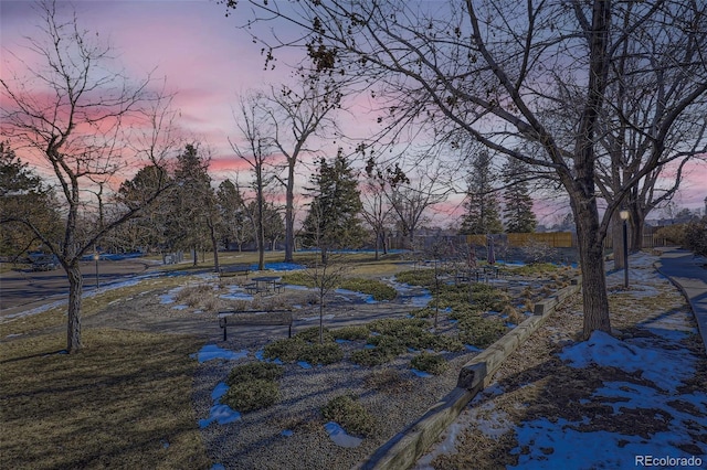 view of yard at dusk