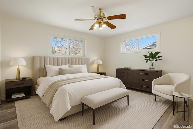 7065 Ingalls Ct, Arvada, CO 80003 - bedroom with wood finished floors, multiple windows, and ceiling fan