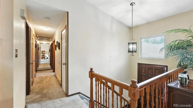 6180 Garlock Way, Colorado Springs, CO 80918 - photo 19