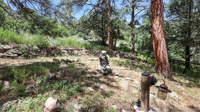 6180 Garlock Way, Colorado Springs, CO 80918 - photo 47