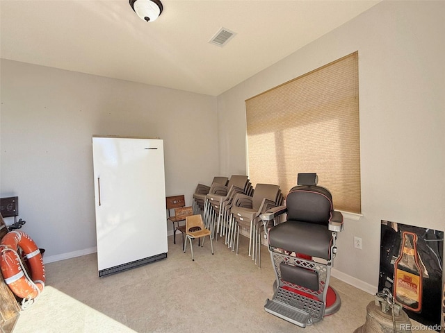 interior space with light colored carpet