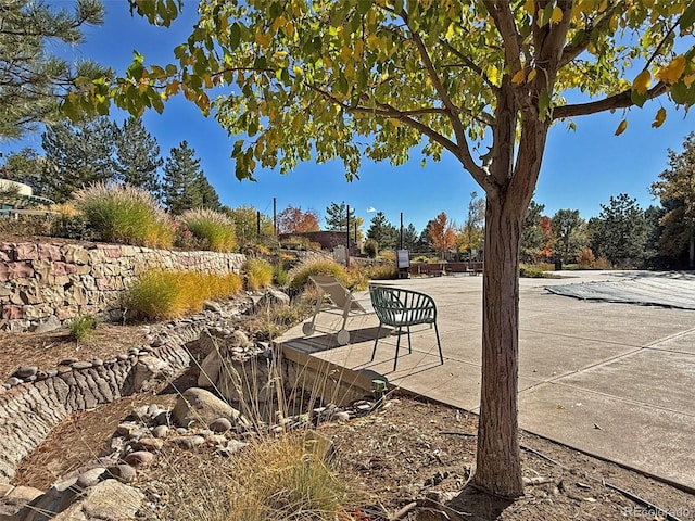 8547 Gold Peak Dr Unit G, Highlands Ranch, CO 80130 - photo 33