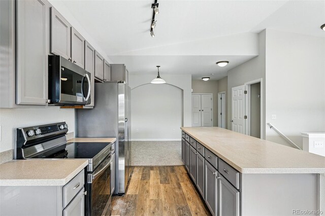 9434 Ashbury Cir Unit 203, Parker, CO 80134 - kitchen featuring appliances with stainless steel finishes, gray cabinets, wood finished floors, and a center island