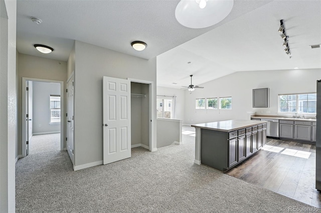 9434 Ashbury Cir Unit 203, Parker, CO 80134 - kitchen with stainless steel dishwasher, gray cabinets, track lighting, light carpet, and lofted ceiling