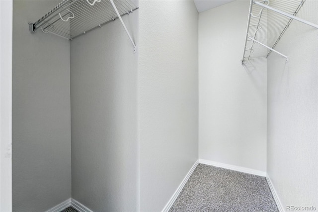 9434 Ashbury Cir Unit 203, Parker, CO 80134 - walk in closet with carpet