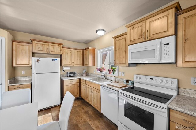 247 Shannon Trl, Cotopaxi, CO 81223 - photo 10