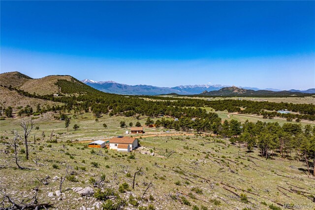 247 Shannon Trl, Cotopaxi, CO 81223 - photo 26