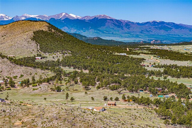 247 Shannon Trl, Cotopaxi, CO 81223 - photo 27