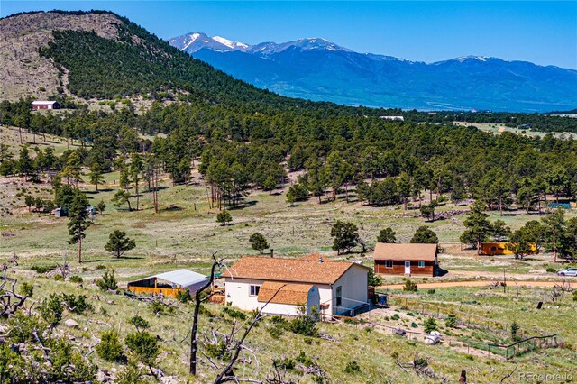 247 Shannon Trl, Cotopaxi, CO 81223 - photo 28