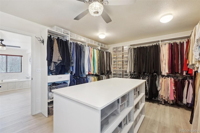 spacious closet with ceiling fan and light hardwood / wood-style flooring