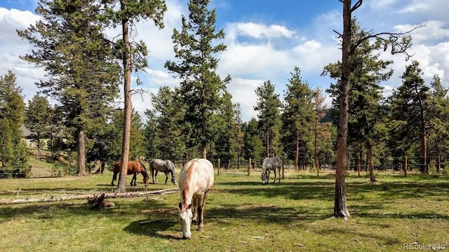 64 Elk Horn Ct, Bailey, CO 80421 - view of community featuring fence, a yard, and a rural view
