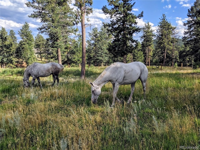 64 Elk Horn Ct, Bailey, CO 80421 - view of details
