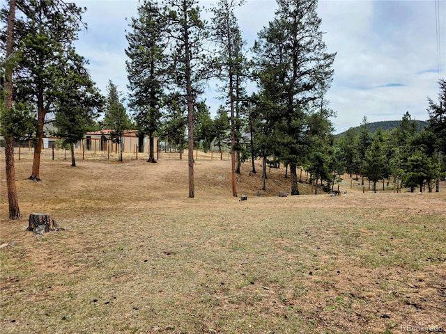 64 Elk Horn Ct, Bailey, CO 80421 - view of yard