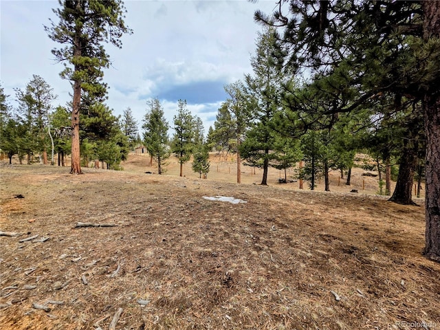64 Elk Horn Ct, Bailey, CO 80421 - view of yard