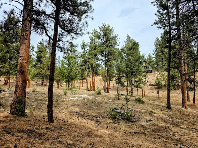 64 Elk Horn Ct, Bailey, CO 80421 - view of nature