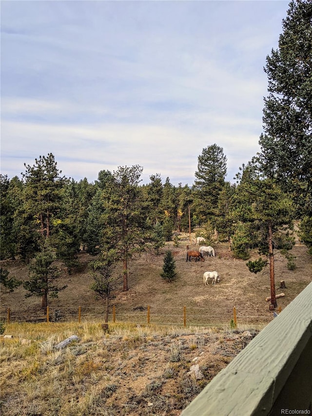 64 Elk Horn Ct, Bailey, CO 80421 - view of yard