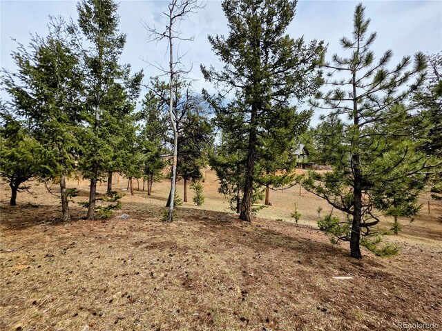 64 Elk Horn Ct, Bailey, CO 80421 - view of landscape