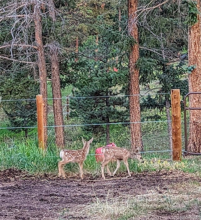 64 Elk Horn Ct, Bailey, CO 80421 - view of gate featuring fence