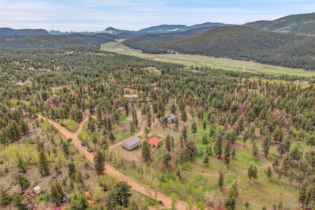 64 Elk Horn Ct, Bailey, CO 80421 - bird's eye view of a mountainous background and a heavily wooded area