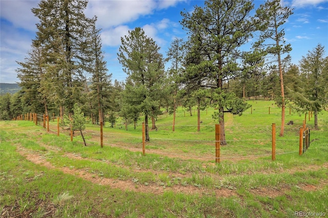 64 Elk Horn Ct, Bailey, CO 80421 - view of nature with rural landscape