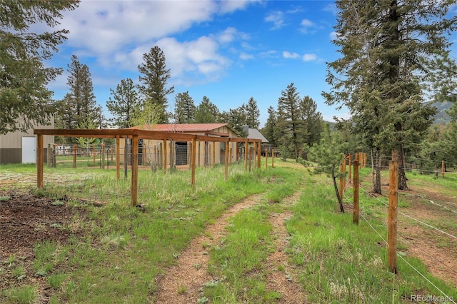 64 Elk Horn Ct, Bailey, CO 80421 - view of yard
