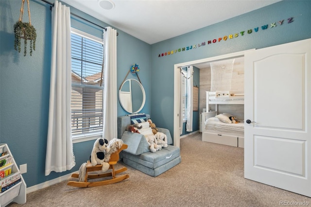 248 Writers Way, Colorado Springs, CO 80903 - game room featuring carpet floors and healthy amount of natural light