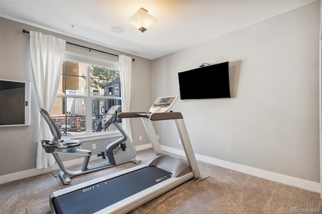 248 Writers Way, Colorado Springs, CO 80903 - exercise area with carpet floors and baseboards