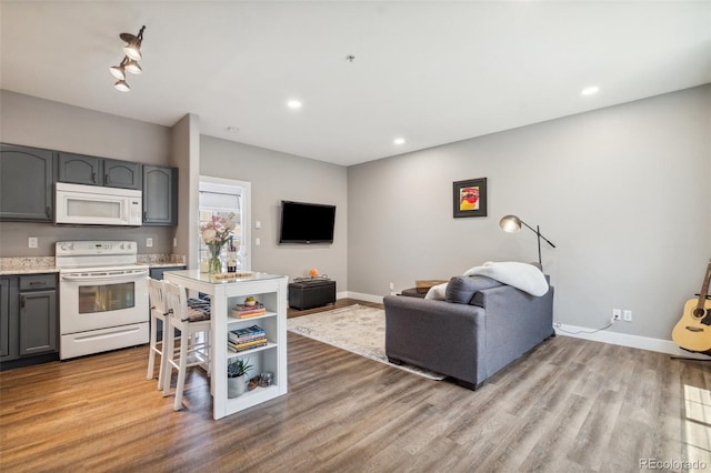 248 Writers Way, Colorado Springs, CO 80903 - living area featuring light wood-style flooring and recessed lighting