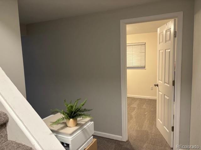 hallway featuring carpet floors