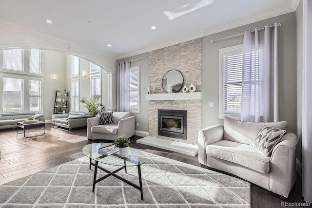 living room featuring ornamental molding, a fireplace, and wood-type flooring