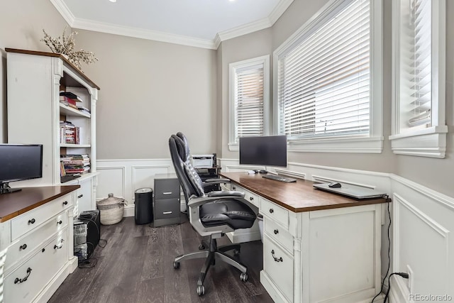 office area featuring crown molding and dark hardwood / wood-style flooring