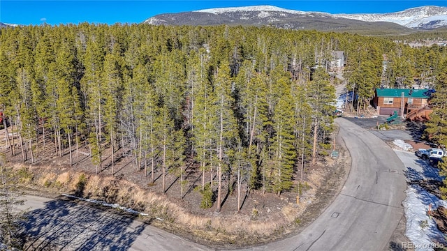 12 Imogene Cir, Leadville, CO 80461 - photo 1
