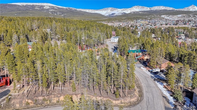 12 Imogene Cir, Leadville, CO 80461 - photo 2