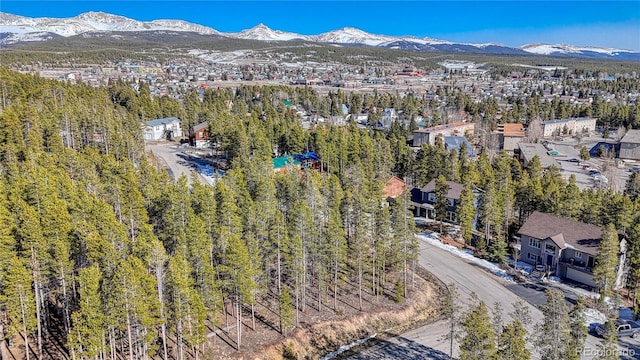 12 Imogene Cir, Leadville, CO 80461 - photo 3